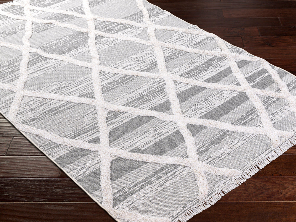 Livabliss Morocotton MCT-2306 Area Rug