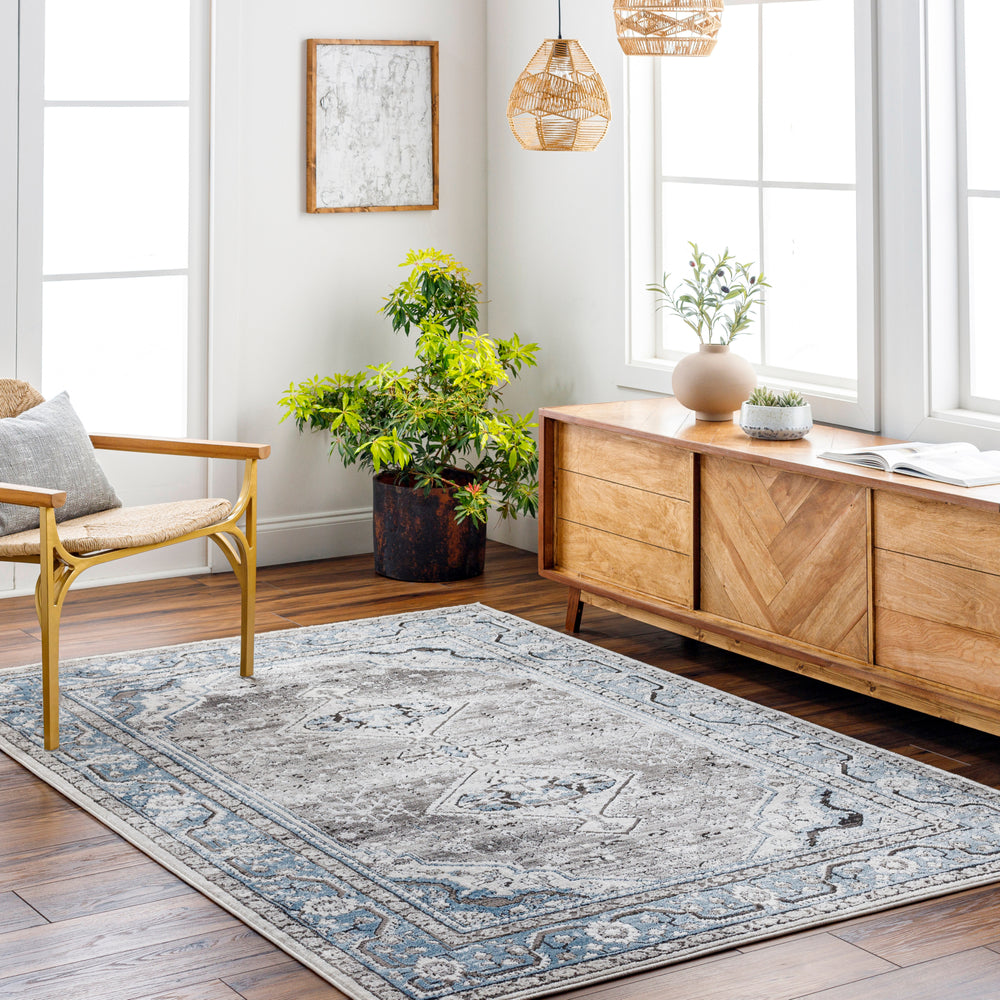 Surya Marvel MVL-2309 Area Rug Room Scene Feature