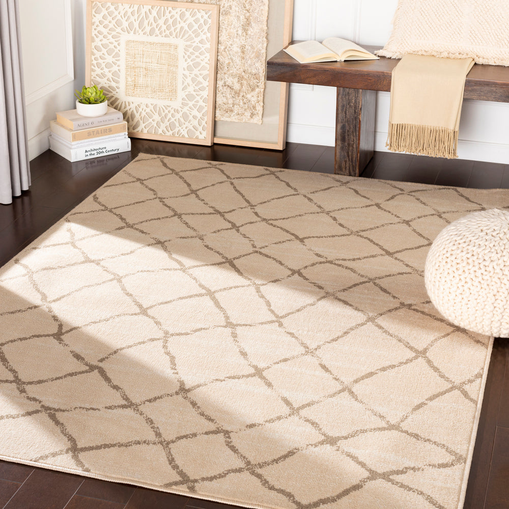 Surya Oslo OSL-2311 Area Rug Room Scene Feature