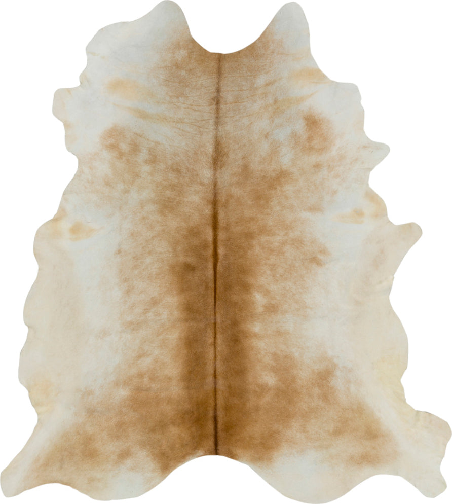 Surya Patagonia PGA-1000 Area Rug
