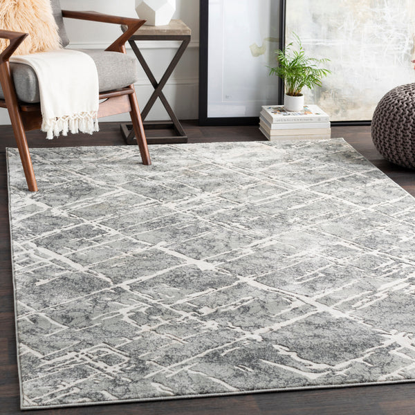 Surya Quatro QUA2305 Area Rug Incredible Rugs and Decor