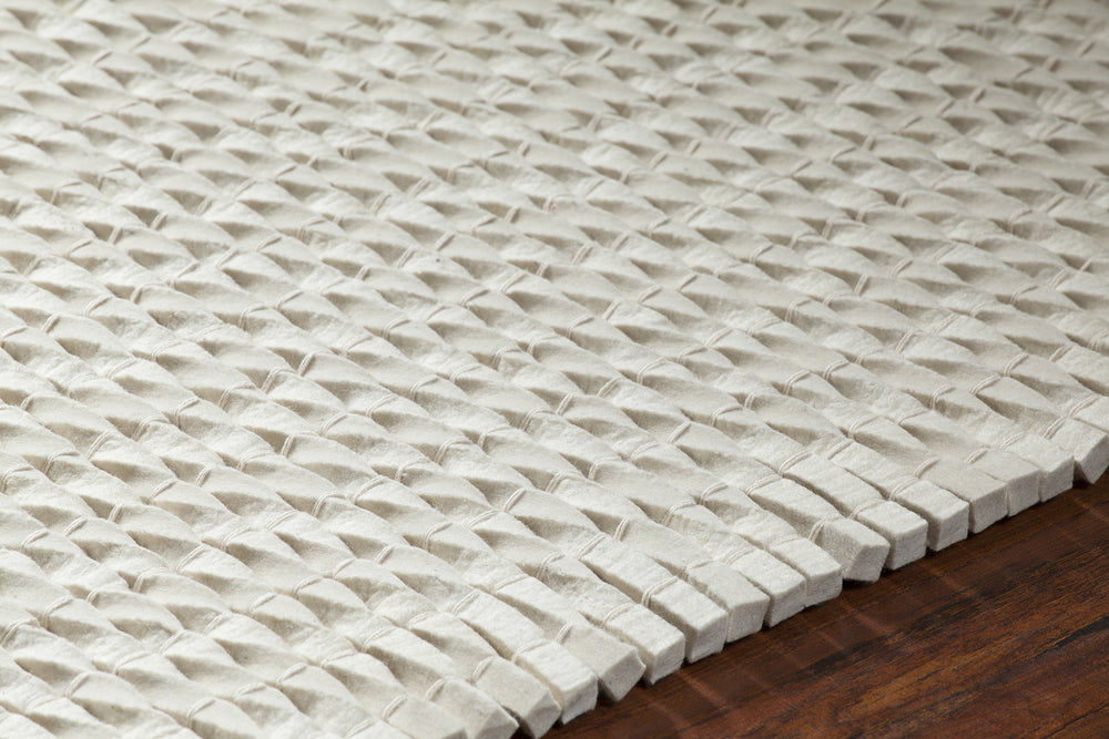 Chandra Renea REN-40100 Area Rug Detail Feature