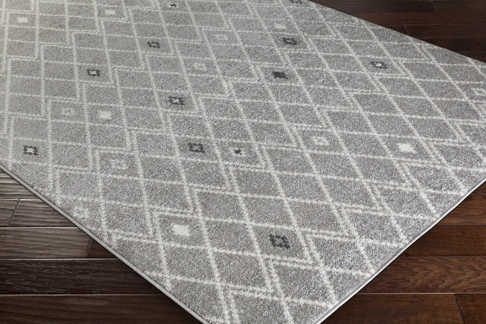 Surya Rhea RHE-1007 Area Rug Corner Image Feature