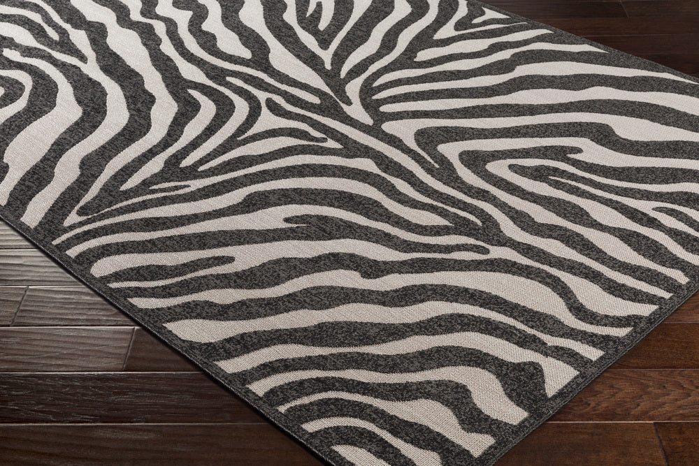 Surya Stardust SAS-1004 Area Rug Corner Image Feature