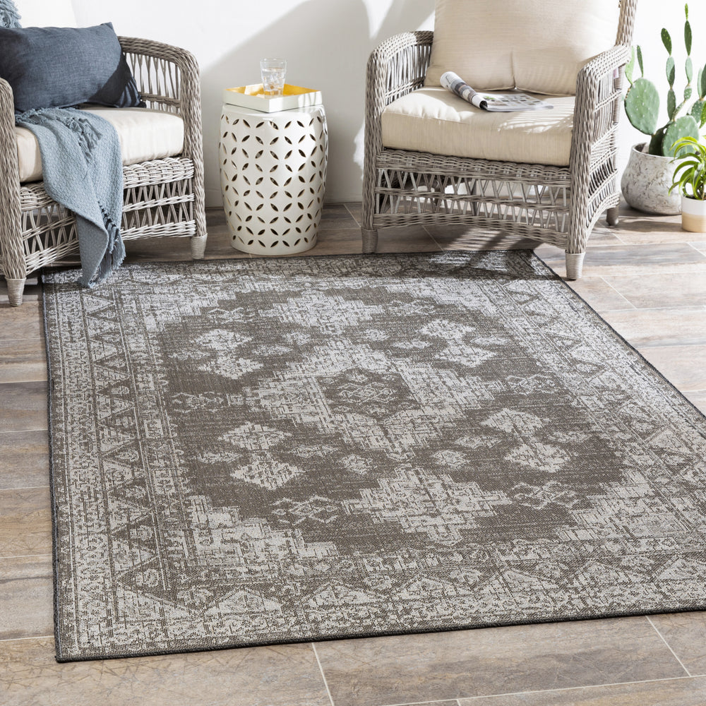 Surya Veranda VRD-2313 Area Rug Room Scene Feature