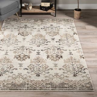 Dalyn Antigua AN11 Chocolate Area Rug