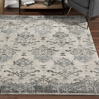 Dalyn Antigua AN11 Pewter Area Rug Room Scene Image 2