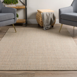 Dalyn Nepal NL100 Taupe Area Rug Room Scene Image