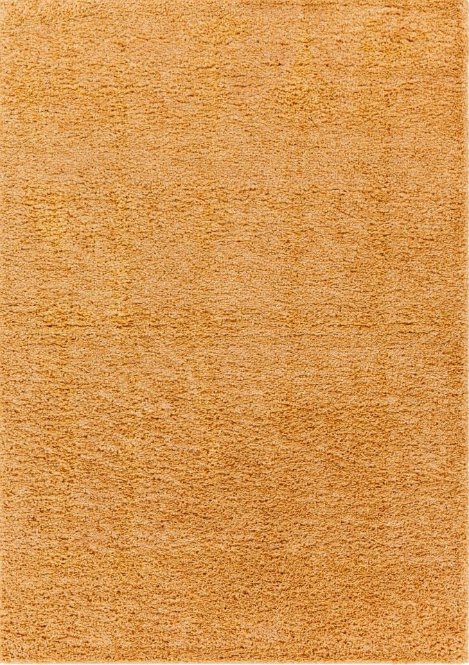 Surya Deluxe Shag DXS-2324 Area Rug Main Image 