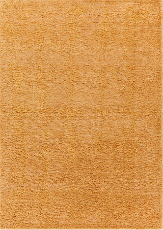 Surya Deluxe Shag DXS-2324 Area Rug Main Image 