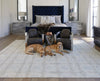 Feizy Belfort 8668F Ivory/Gray Area Rug