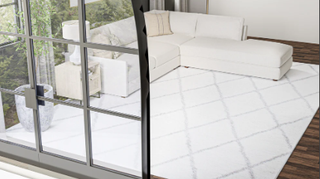 Bashian Andes A164-AND104 White/Grey Area Rug Room Scene 2