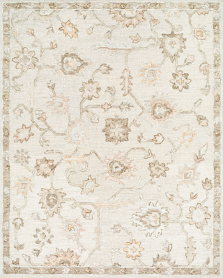 Livabliss Arnold AOD-2305 Area Rug 5 X 8
