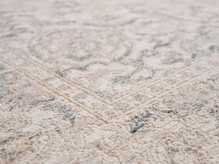 Dynamic Rugs Lara 14626 Ivory/Beige/Grey Area Rug Detail