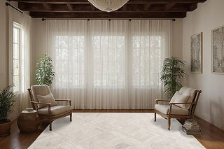 Dynamic Rugs Atlas 2575 Grey/Ivory Area Rug Room Scene 2