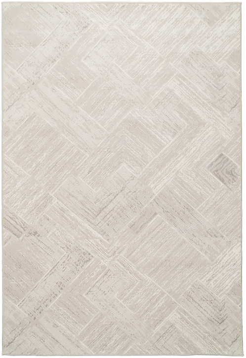 Dynamic Rugs Atlas 2575 Grey/Ivory Area Rug 5 X 8