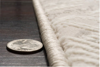 Dynamic Rugs Atlas 2575 Grey/Ivory Area Rug Edge 2