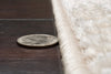 Dynamic Rugs Arten 3752 Light Grey Area Rug Edge