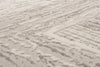 Dynamic Rugs Atlas 2575 Grey/Ivory Area Rug Texture