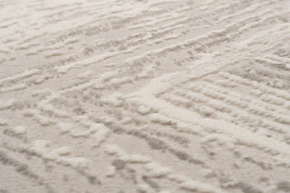 Dynamic Rugs Atlas 2575 Grey/Ivory Area Rug Texture