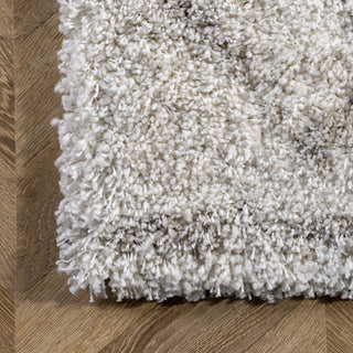 nuLOOM Edwin Trellis Shaggy Area Rug