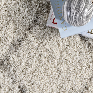 nuLOOM Edwin Trellis Shaggy Area Rug