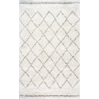 nuLOOM Edwin Trellis Shaggy Area Rug