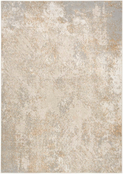 Nourison Ambiance AMI03 Ivory Silver Area Rug 5 X 7