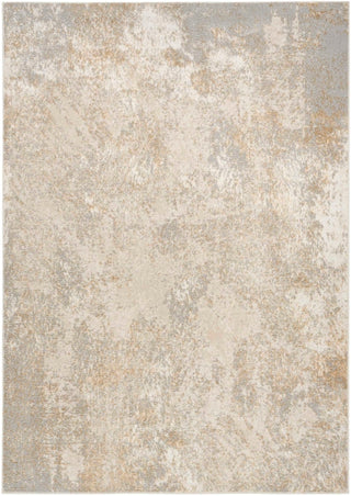 Nourison Ambiance AMI03 Ivory Silver Area Rug 5 X 7