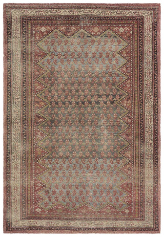 Jaipur Living Amata By House Sprucing Stellina AMT02 Red / Blue Area Rug 5 X 8