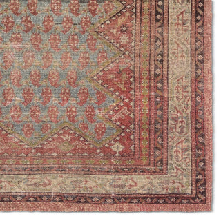 Jaipur Living Amata By House Sprucing Stellina AMT02 Red / Blue Area Rug Detail
