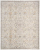 Nourison Antique Fusion ANF03 Light Grey Area Rug 8 X 10