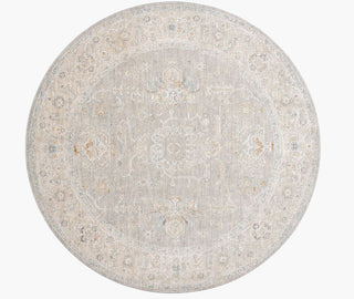 Livabliss Avant Garde AVT-2304 Area Rug