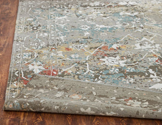 Ancient Boundaries Harvest HAR-1141 Grey Tones/Multi Area Rug