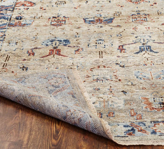 Ancient Boundaries Lily LIL-11 Vintage Tan/Blues Area Rug Back Fringe
