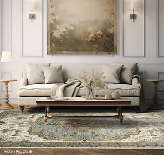 Aberdeen 2451B rug image in room