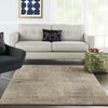 Nourison Concerto CNC03 Beige/Grey Area Rug