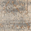 Nourison Concerto CNC03 Beige/Grey Area Rug