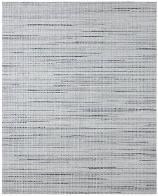 Ancient Boundaries Houston HOU-1227 Grey White Strie Area Rug 5 X 8