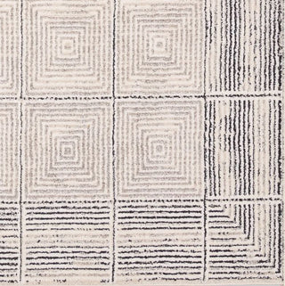 Jaipur_Living_Eva_Quadrant_EVA03_Ivory_Area_Rug_by_Label_J_Detail