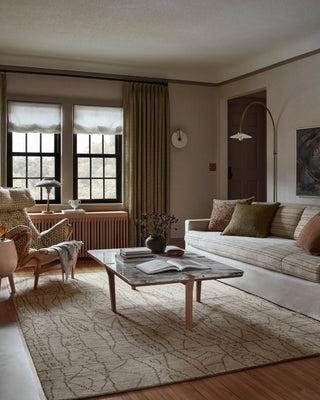 Loloi Odyssey OD-01 Natural/Ash Area Rug