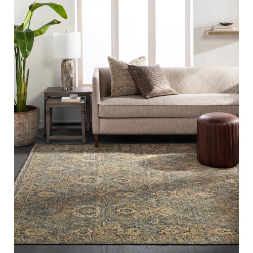 Surya Anatolia ANY-2302 Area Rug – Incredible Rugs and Decor