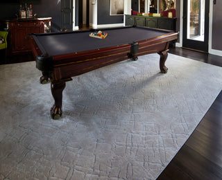 Feizy Micah 3047F Beige/Silver Area Rug