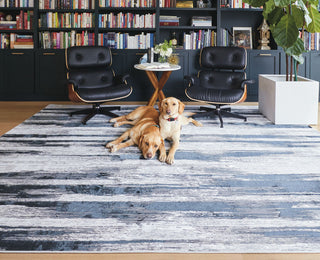 Feizy Micah 3338F Black/Silver Area Rug