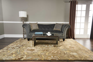 Nourison Jaipur JA41 Silver Area Rug Room Scene