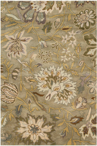 Nourison Jaipur JA41 Silver Area Rug