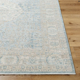 Surya Once Upon a Time OAT-2300 Ash Area Rug