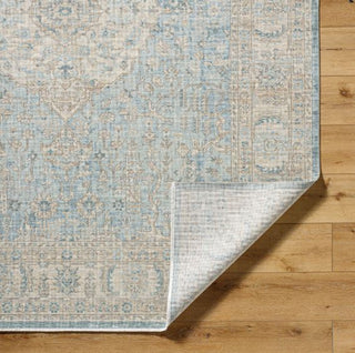 Surya Once Upon a Time OAT-2300 Ash Area Rug