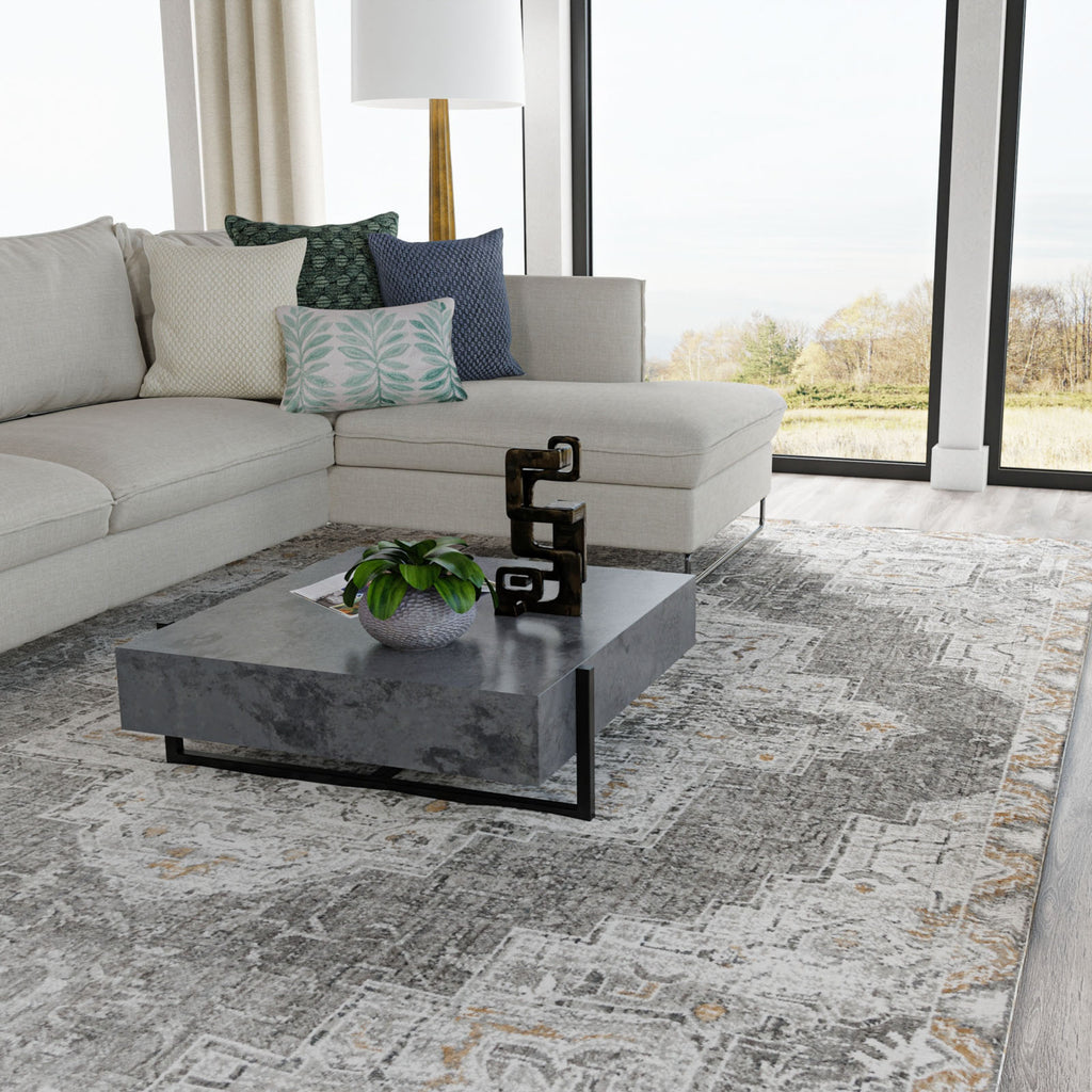 Rizzy Anatolia ANT743 LtGray Area Rug Roomscene Feature