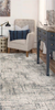 Rizzy Chelsea CHS106 Area Rug